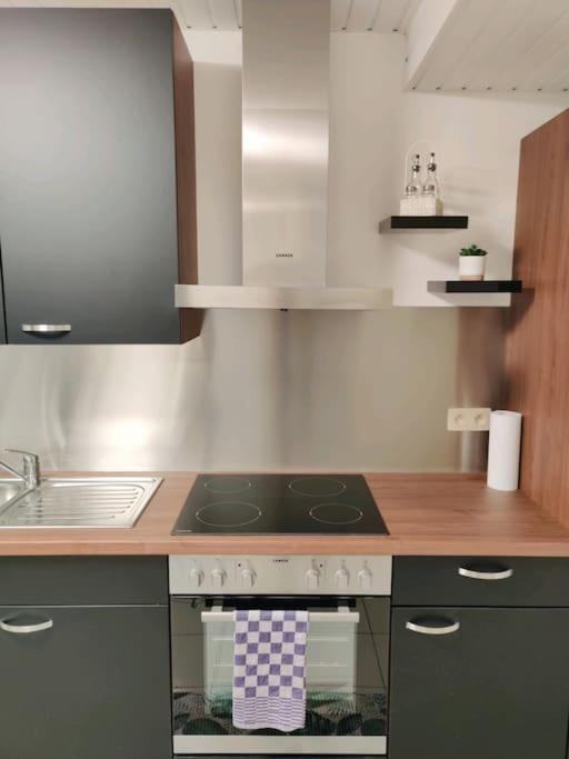 Modern Duplex 100M2 Perfect To Visit Brussels Apartman Kültér fotó